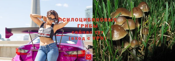 стаф Балабаново